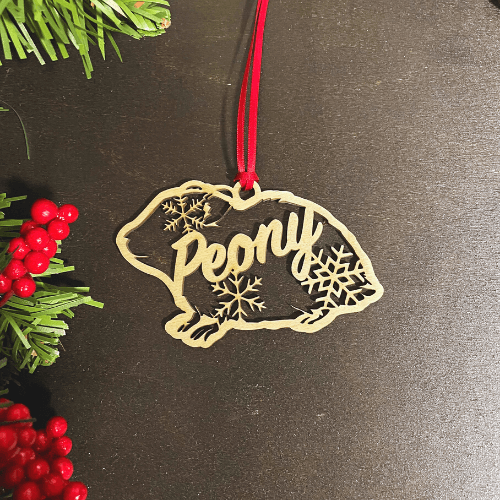 Christmas Ornament - Small Pet Buddy Snowflake
