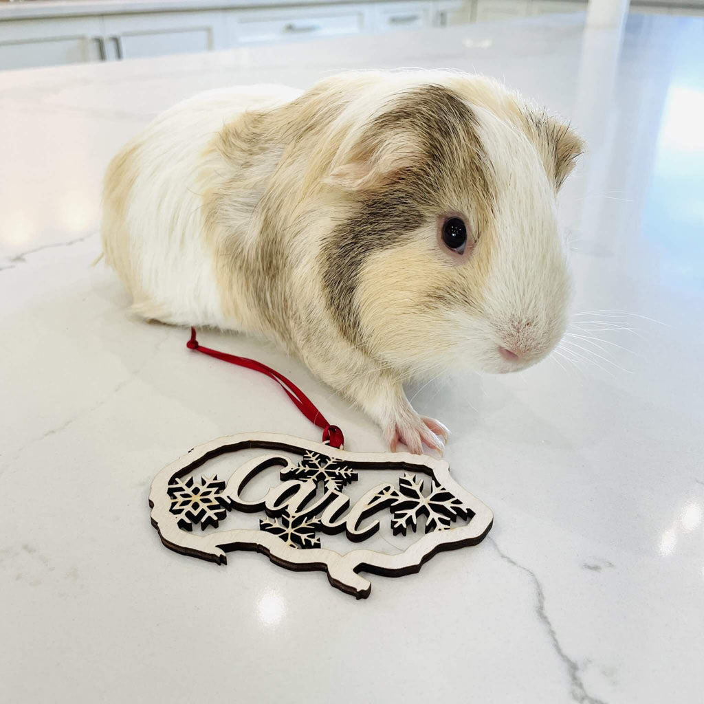 Christmas Ornament - Small Pet Buddy Snowflake