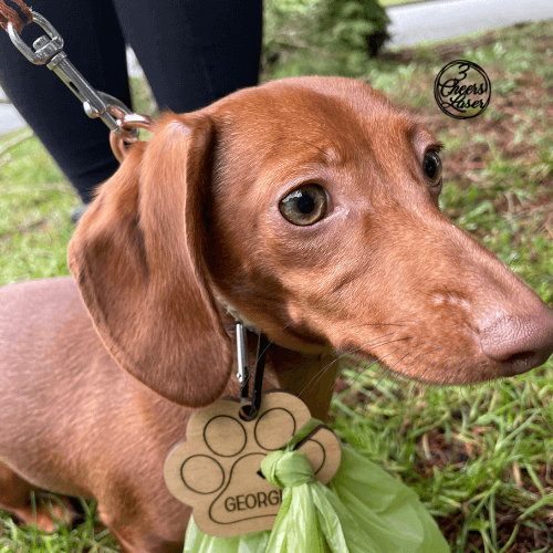 DISPNEW Earth Rated Dog Poop Bag Dispenser 2.0 — Ecobagsnz
